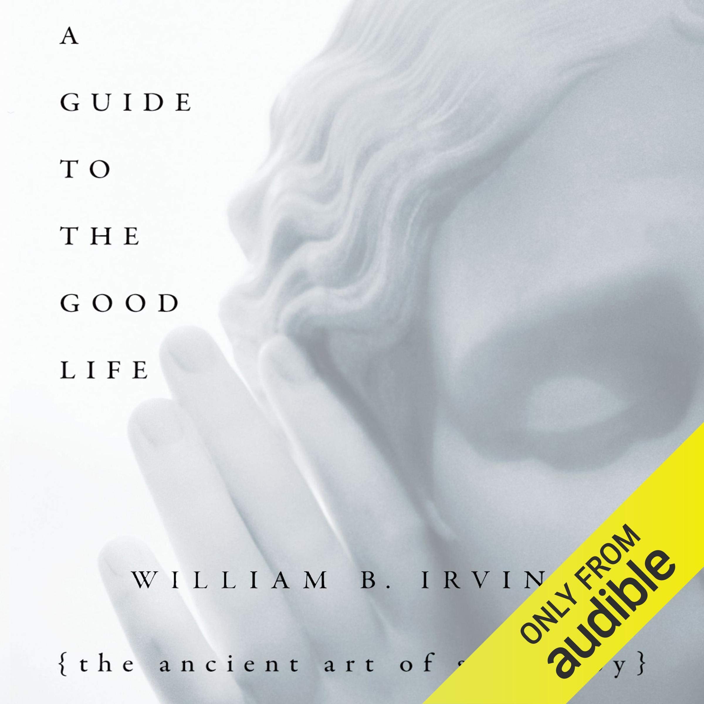 Algopix Similar Product 11 - A Guide to the Good Life The Ancient