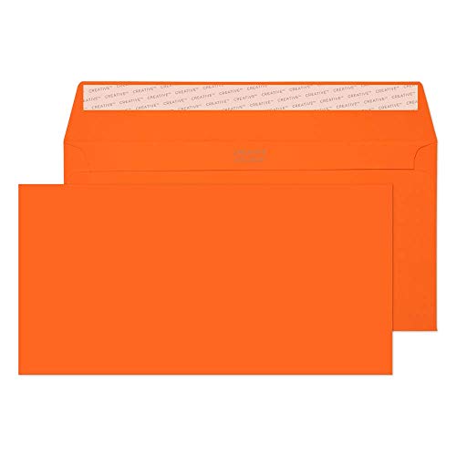 Algopix Similar Product 2 - Creative Colour 205 DL 114X229MM 120