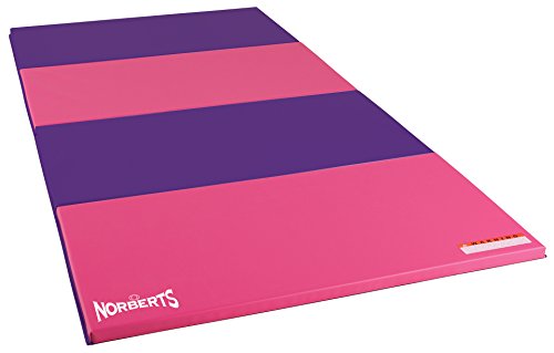 Algopix Similar Product 17 - Norberts Athletic Products Gymnastics