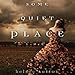Algopix Similar Product 14 - Some Quiet Place