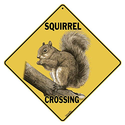 Algopix Similar Product 8 - CROSSWALKS Squirrel Crossing 12 X 12
