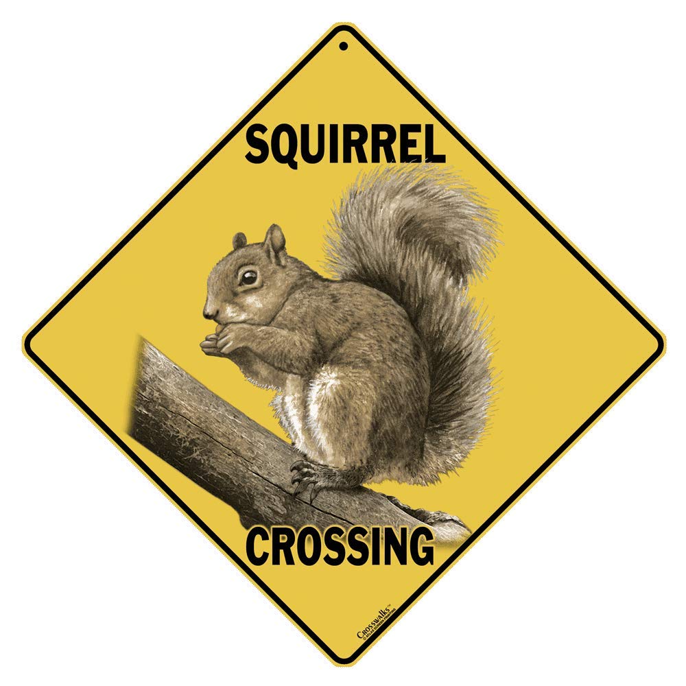 Algopix Similar Product 10 - CROSSWALKS Squirrel Crossing 12 X 12