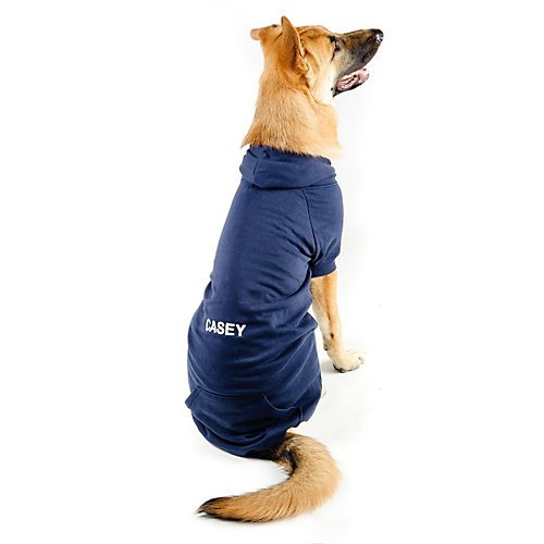 Algopix Similar Product 12 - Personalized Casual Canine Dog Hoodie