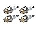 Algopix Similar Product 15 - Briggs  Stratton 7961124pk Spark Plug