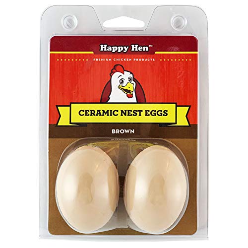 Algopix Similar Product 19 - Happy Hen Treats Ceramic Nest Eggs