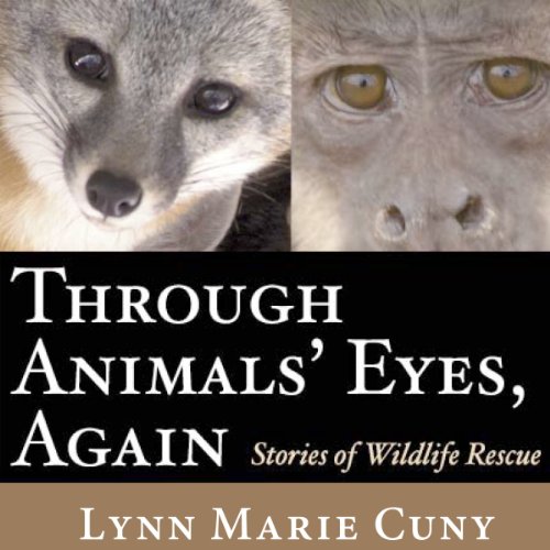 Algopix Similar Product 15 - Through Animals Eyes Again Stories
