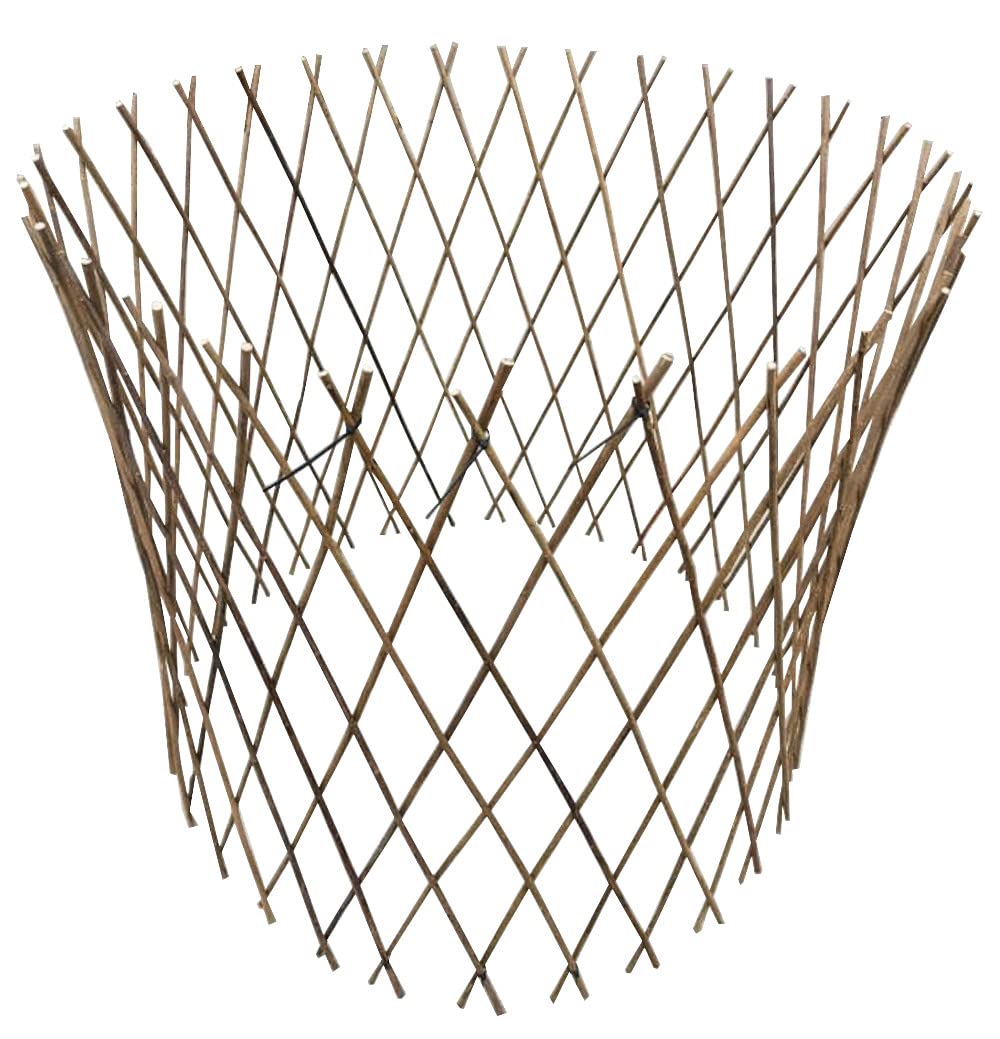 Algopix Similar Product 1 - Master Garden Products WCT36 Willow