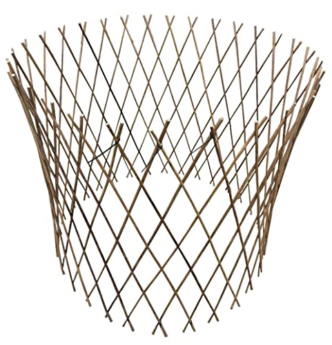 Algopix Similar Product 6 - Master Garden Products WCT36 Willow
