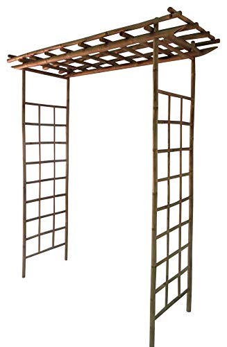 Algopix Similar Product 4 - Bamboo North Arbor