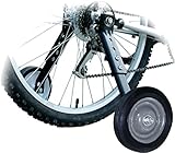 Algopix Similar Product 16 - BikeHard Heavy Duty Adjustable Training