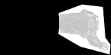 Algopix Similar Product 12 - Sram Xx1 Schraubensicherung For Grip