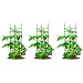 Algopix Similar Product 12 - Gardeners Blue Ribbon 3Pack Ultomato