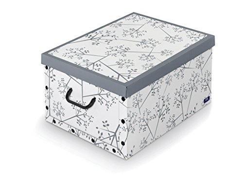 Algopix Similar Product 10 - Domopak Storage Box With Handles