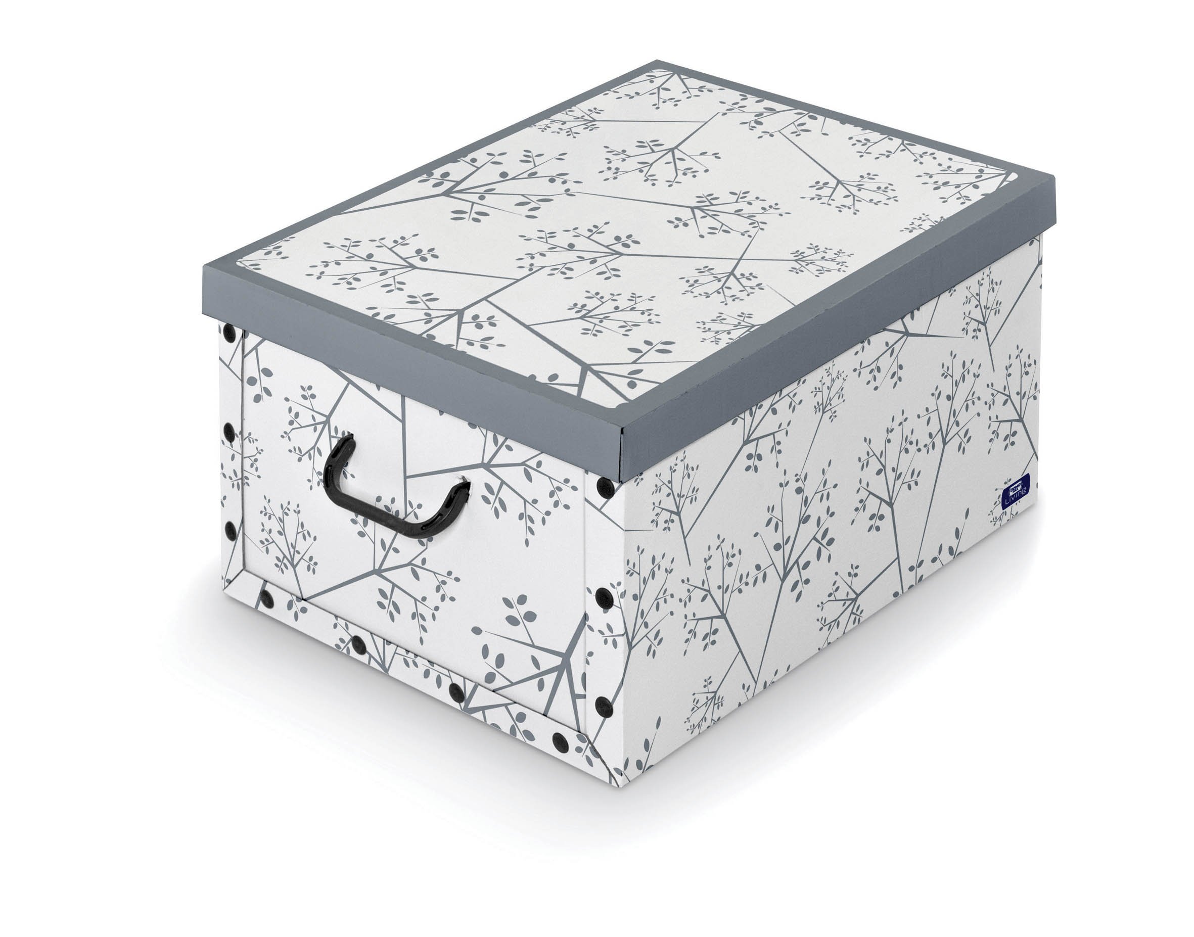 Algopix Similar Product 6 - Domopak Storage Box With Handles