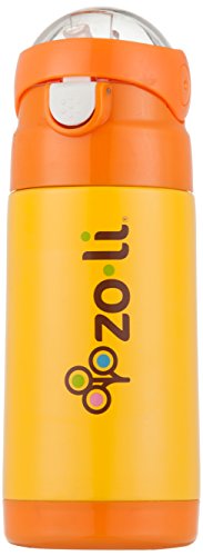 Algopix Similar Product 5 - ZoLi DLITE Vacuum Insulated Drink