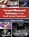 Algopix Similar Product 2 - Focused Ultrasound Techniques for the