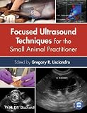 Algopix Similar Product 7 - Focused Ultrasound Techniques for the