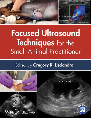 Algopix Similar Product 5 - Focused Ultrasound Techniques for the