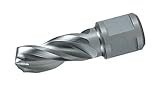 Algopix Similar Product 2 - RUKO 1081210 HSS Solid 3S Drill with