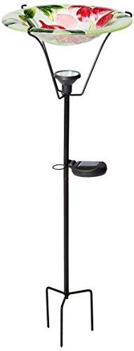 Algopix Similar Product 14 - Continental Art CAC2610410A 11 Solar