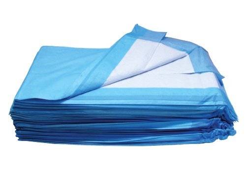 Algopix Similar Product 6 - Disposable Underpads 1342 23x24