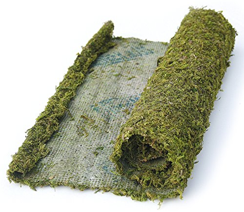 Algopix Similar Product 13 - Instant Green All Purpose MossMat