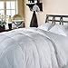 Algopix Similar Product 20 - BLUE RIDGE 350 TC Cotton Damask Stripe