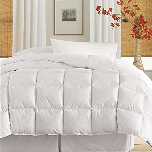 Algopix Similar Product 8 - Blue Ridge Home Fashions Cotton Twill