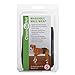 Algopix Similar Product 10 - Clean Go Pet Washable Male Wrap 