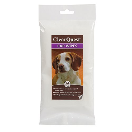 Algopix Similar Product 3 - ClearQuest Ear Wipes  PreMoistened