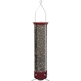 Algopix Similar Product 1 - Droll Yankees Yankee Dipper Feeder