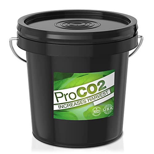 Algopix Similar Product 15 - ProCO2 XL Bucket w Handle  Natural