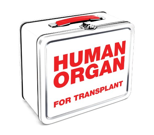 Algopix Similar Product 3 - Aquarius Human Organ Large Tin Fun Box