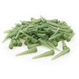 Algopix Similar Product 20 - 100 Pcs Green Plastic Tapered Pinhead