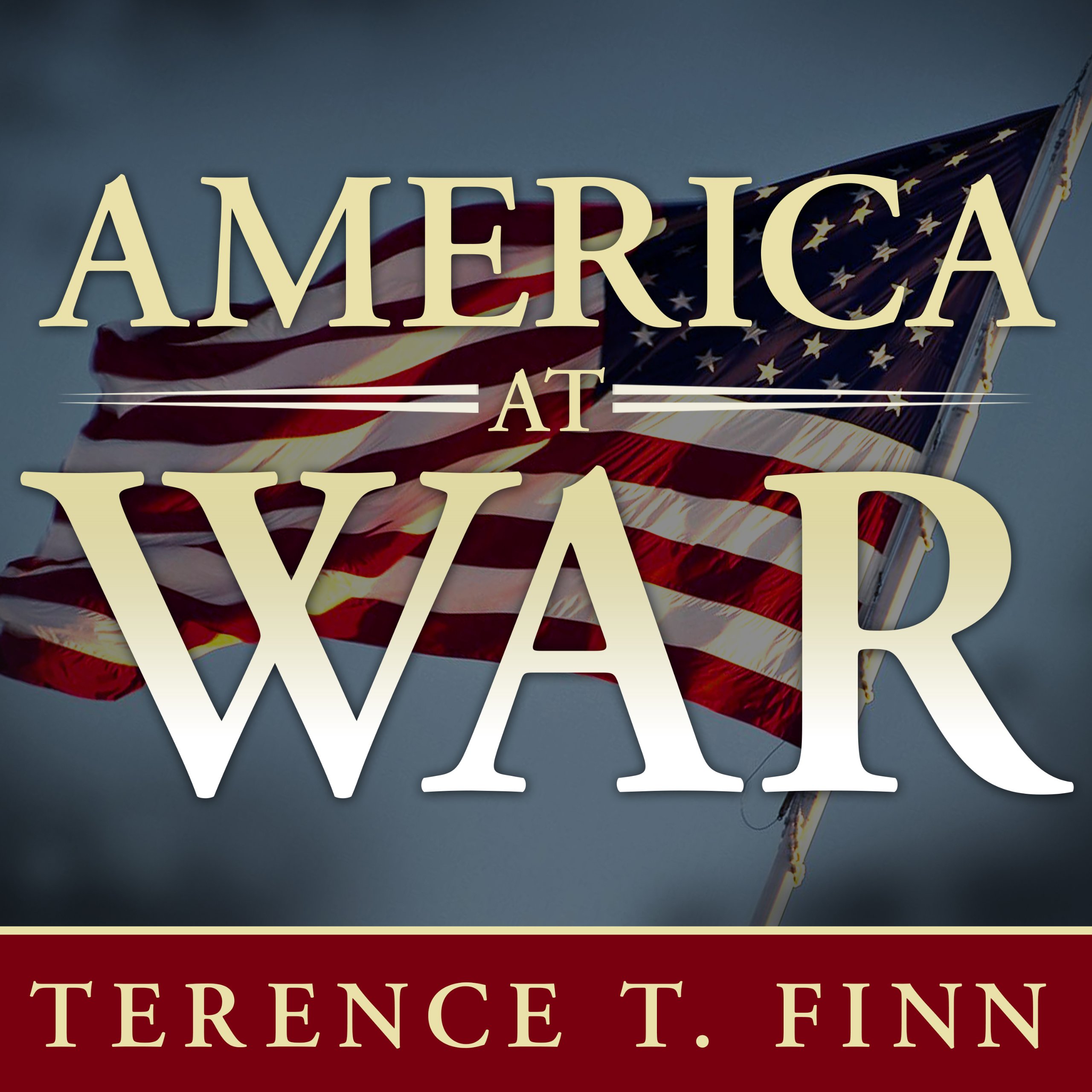 Algopix Similar Product 1 - America at War Concise Histories of