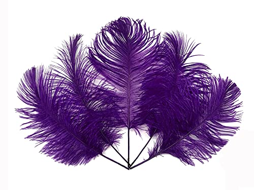 Algopix Similar Product 17 - Moonlight Feather  12 Lb  Purple