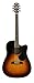 Algopix Similar Product 19 - Alvarez Regent RD26CESB Dreadnought