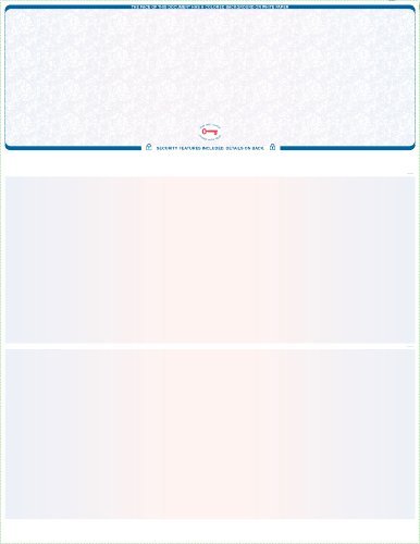 Algopix Similar Product 5 - 250 Blank Computer Check Stock Check