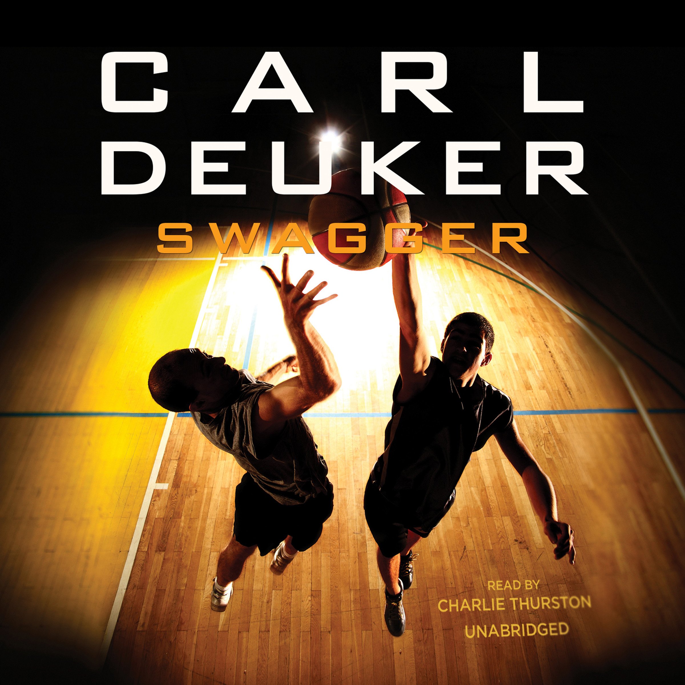 Algopix Similar Product 11 - Swagger