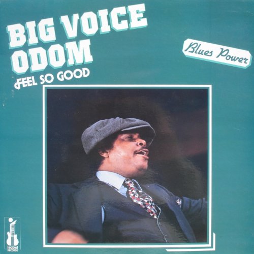Algopix Similar Product 3 - Feel So Good feat Magic Slim Lucky