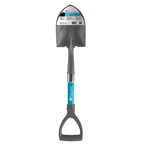 Algopix Similar Product 8 - BLOOM Bond MFG 989743 Bloom Mini D