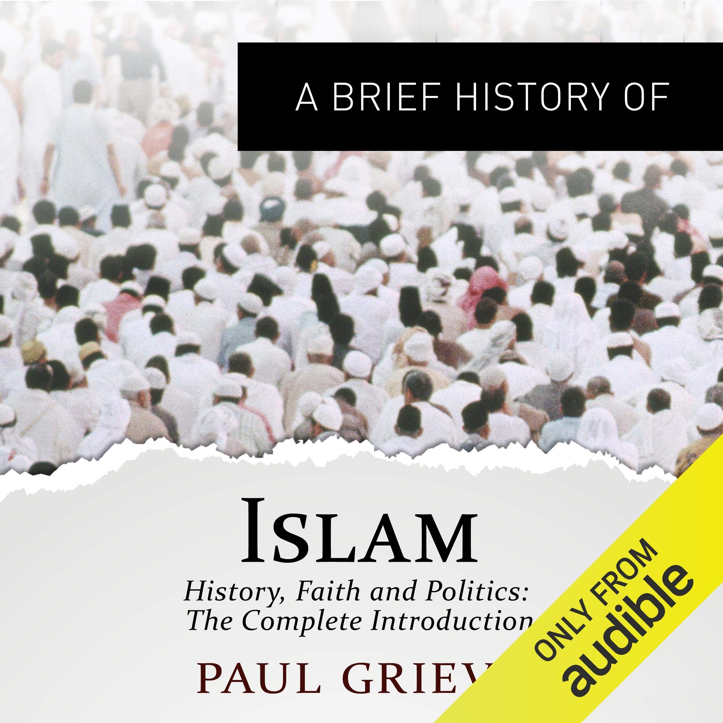 Algopix Similar Product 17 - A Brief Guide to Islam: Brief Histories