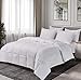 Algopix Similar Product 10 - Blue Ridge Home Fashions Home Fashion