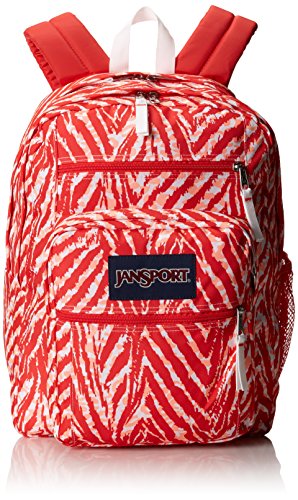 Algopix Similar Product 15 - JanSport Big Student Coral Peaches Wild