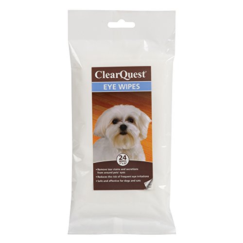 Algopix Similar Product 8 - Clear Quest Eye Wipes  EasytoUse