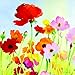 Algopix Similar Product 13 - Paperproducts Design Decorative