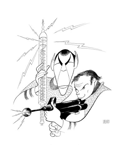Algopix Similar Product 12 - Al Hirschfelds STAR TREK KIRK  SPOCK