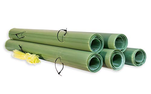 Algopix Similar Product 1 - Tubex 4 Tree Shelter, 25 pack