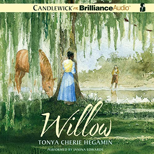 Algopix Similar Product 15 - Willow