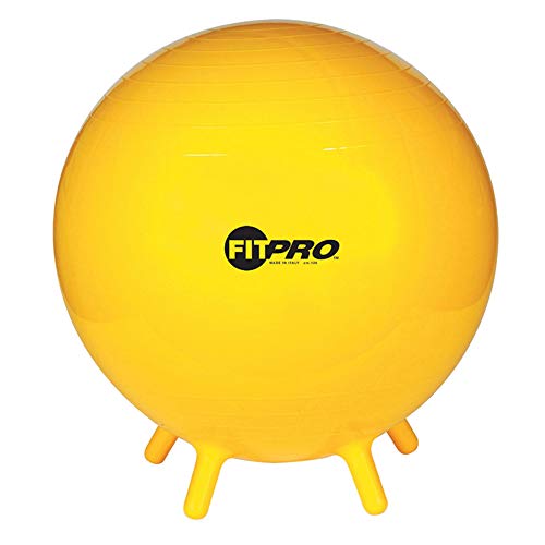 Algopix Similar Product 5 - Champion Sports FITPRO Ball Stability